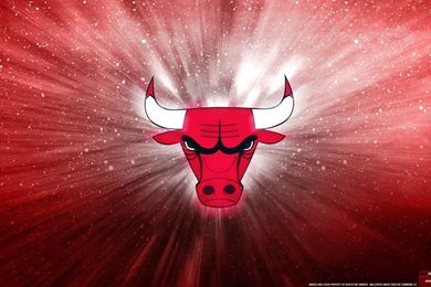 Download Chicago Bulls Logo Posterizes Nba Free Wallpapers ...