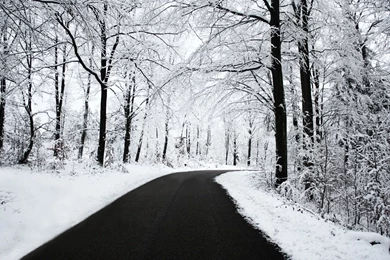 25 Stunning Winter Wallpapers