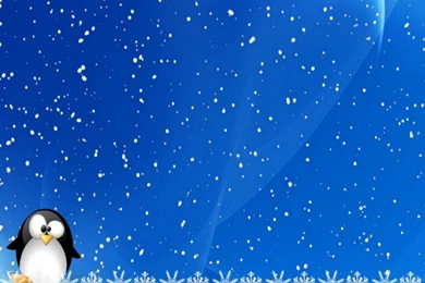 Winter Holidays Desktop Wallpapers