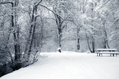 Winter Backgrounds Tumblr 2015