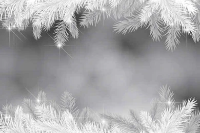 Preview Beautiful Winter Backgrounds