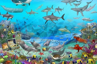 Screen Wallpapers Free Download   Wallpapers High Definition