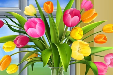 Free Hd Wallpapers Download For Laptop In Hd 3D