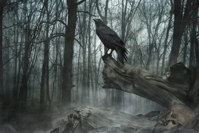 Scary backgrounds 50.jpg Photo By Buster 84