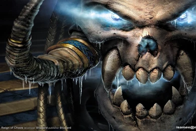 Crazy   Desktop Wallpapers