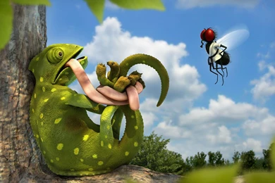 Best 3D Animal Wallpapers