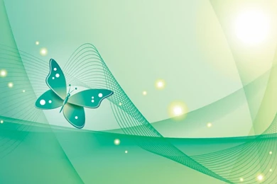 Vector Butterfly Ipad Backgrounds Backgrounds Wallpapers   (