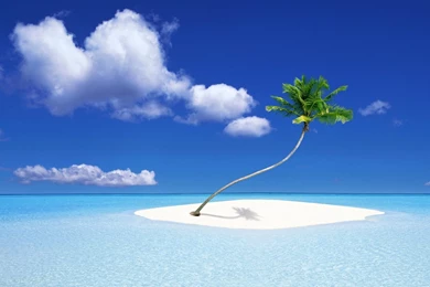 1920x1200 Palm Tree Island Desktop PC And Mac Wallpapers