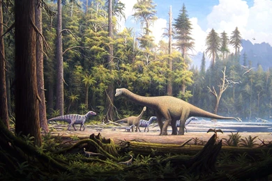 Dinosaur Backgrounds Wallpapers