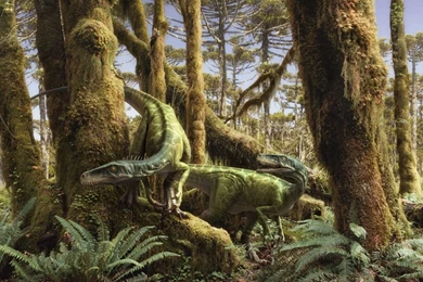 Dinosaur Wallpaper_hd Wallpaper_download Free Wallpapers