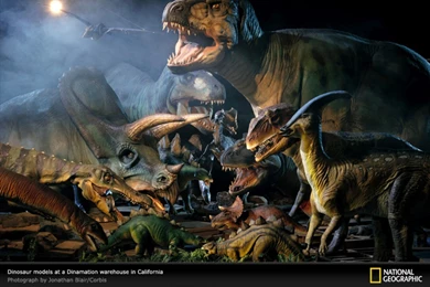 Christmas Recipes: Dinosaur Wallpapers,dinosaur Wallpapers ...