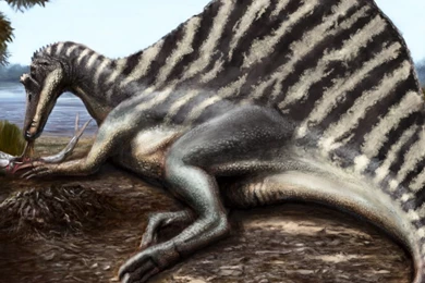 152 Dinosaur HD Wallpapers