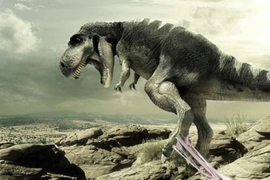 Dinosaur Wallpapers Full HD