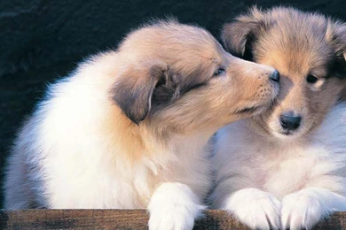 HD Wallpapers Source   Page 315 Of 489   100% Quality HD Desktop ...