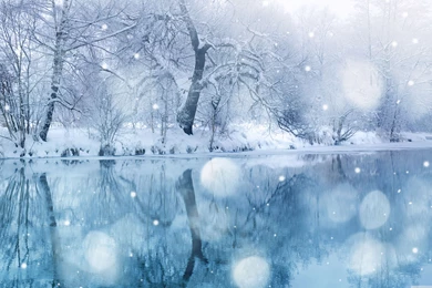 Snow Wallpapers Picture