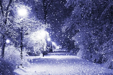 Winter Snow Backgrounds
