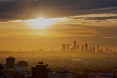 Los Angeles Sunrise