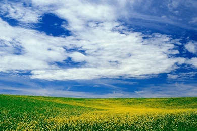 Free Wallpapers   Free Nature Wallpapers   Blue Sky And White Cloud ...