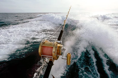 Sport Fishing Wallpapers And Images   Wallpapers, Pictures, Photos