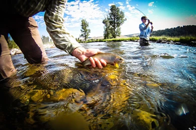 Fishing Wallpapers HD