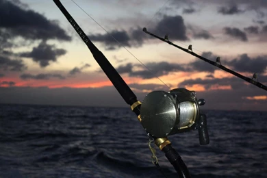 Sports Wallpapers Hd: Fishing Wallpapers