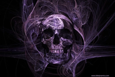 295 Skull HD Wallpapers