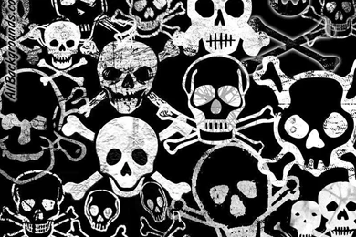 Skulls & Bones Ect... On Pinterest