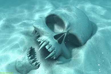 Download Texture: Skull ? ????, Background, Texture, Photo, Skull ...