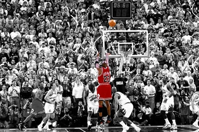 If You Are A Supporter Of The NBA Than It's Sure You Like These ...