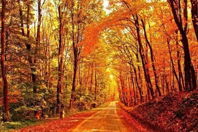 Pic Monkey On Pinterest