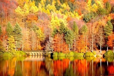 Autumn Fall Backgrounds Wide Wallpapers