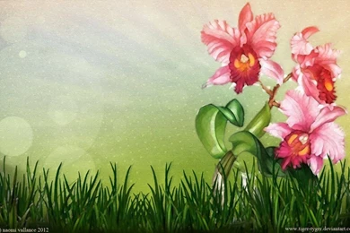 Orchid Wallpapers By Tiger tyger On DeviantArt