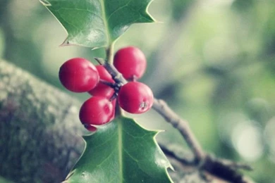 Christmas iPhone 5s Wallpapers