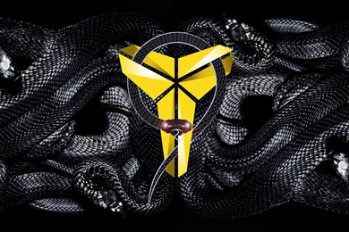Black Mamba Logo Wallpapers   Pix For Web
