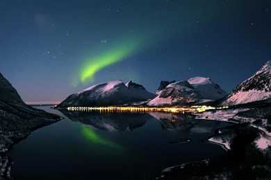 Lake Forest Bridge Nature Garden Reflection Wallpapers