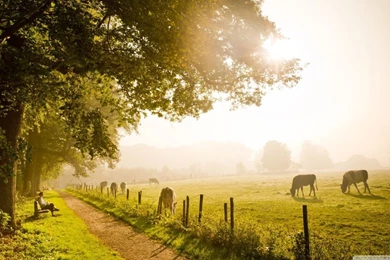 Bright Wallpapers For Desktop: Beautiful By Free Download Best HD ...