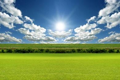 Bright Day Light Wallpapers