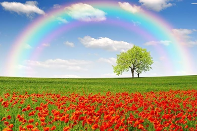 Rainbow Wallpapers High Definition
