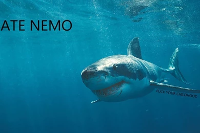 Best Funny Backgrounds