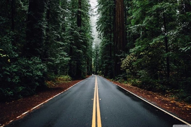 Beautiful Road HD Desktop Wallpapers : Widescreen : High Definition ...