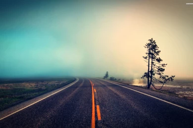 Foggy Road Wallpapers
