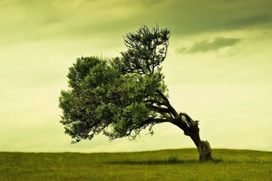 Most Popular iPad Wallpapers