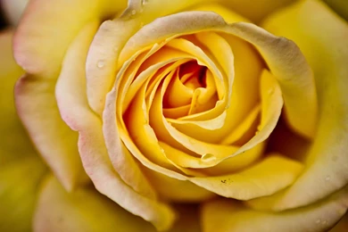 40 Free HD Retina Display iPad 3 Wallpapers