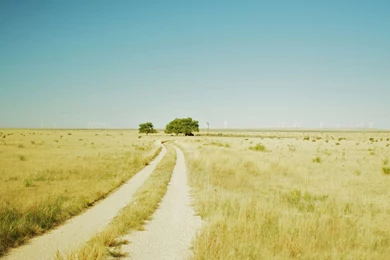 Retina iPad Wallpapers Pack