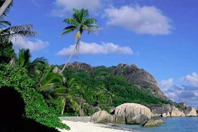 Computer desktop backgrounds free