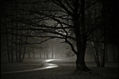 Background_images_nature_dark