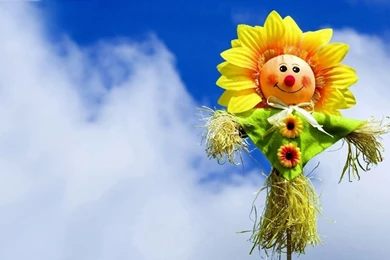 Sunflower Wallpaper_nature Wallpaper_download Free Wallpapers