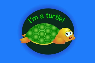 Turtle Wallpapers By Jesscee On DeviantArt