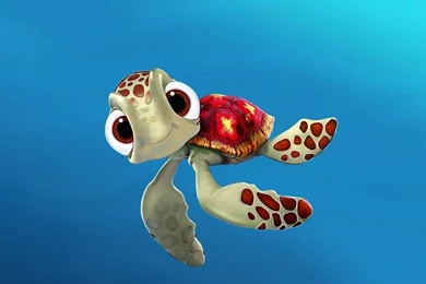 Free Sea Turtle Wallpapers Archives   Free Wallpapers In