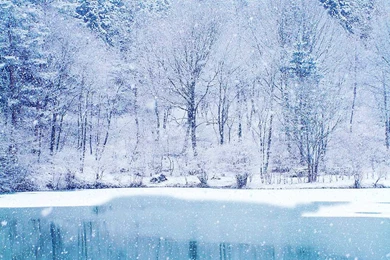 Free Desktop Wallpapers Winter Scenes